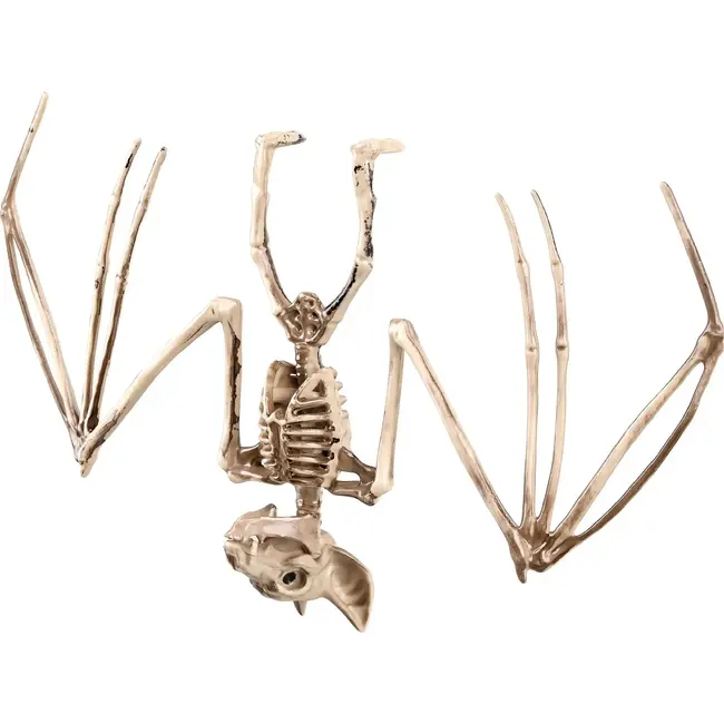 Glimz Vleermuisskelet 30 cm hangdecoratie voor Halloween in botkleur