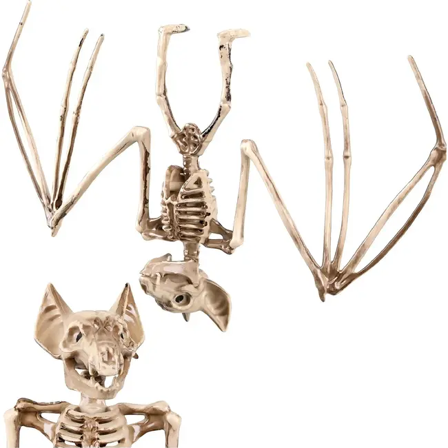 Glimz Vleermuisskelet 30 cm hangdecoratie voor Halloween in botkleur