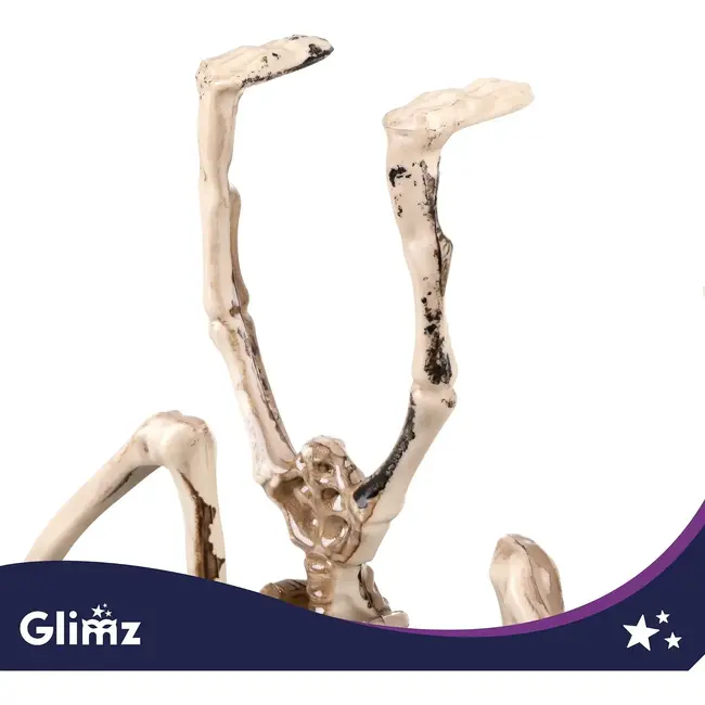Glimz Vleermuisskelet 30 cm hangdecoratie voor Halloween in botkleur