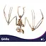 Glimz Vleermuisskelet 30 cm hangdecoratie voor Halloween in botkleur
