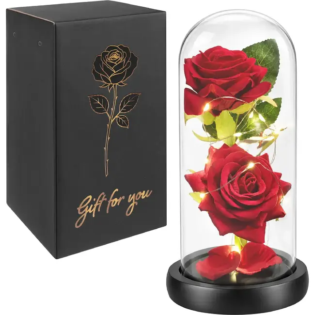 Glimz Roos in glas 22 cm met 2 rode rozen, 20 warme LED-lampjes en elegante zwarte geschenkdoos