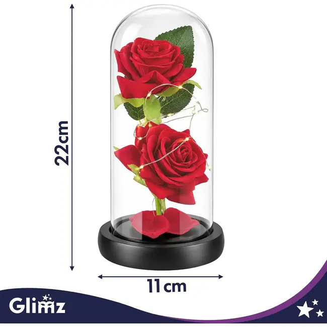 Glimz Roos in glas 22 cm met 2 rode rozen, 20 warme LED-lampjes en elegante zwarte geschenkdoos
