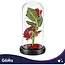 Glimz Roos in glas 22 cm met 2 rode rozen, 20 warme LED-lampjes en elegante zwarte geschenkdoos