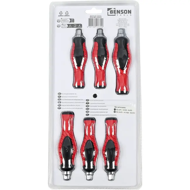Benson Doorslagschroevendraaierset 6-delig met SL- en PH-profielen