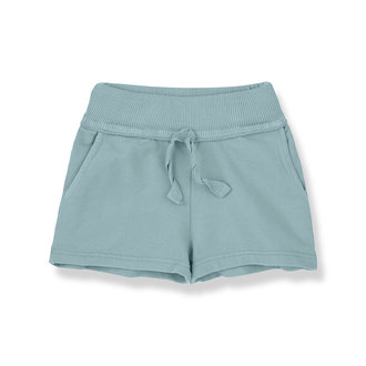 1 + in the family 1 + in the family Etna bermuda mint