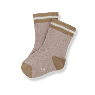 1 + in the family 1+ in the family MEI socks rose