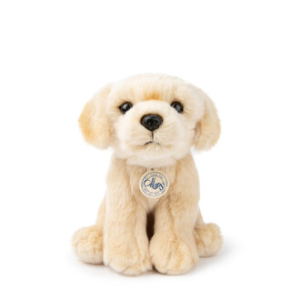 B.T. Chaps B.T. Chaps Loulou the Labrador