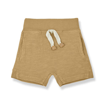 1 + in the family 1 + in the family GINO bermuda havana 1 + in the family 1 + in the family GINO bermuda havana