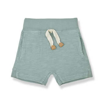 1 + in the family 1 + in the family GINO bermuda shark 1 + in the family 1 + in the family GINO bermuda shark