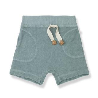 1 + in the family 1 + in the family ENZO bermuda shark