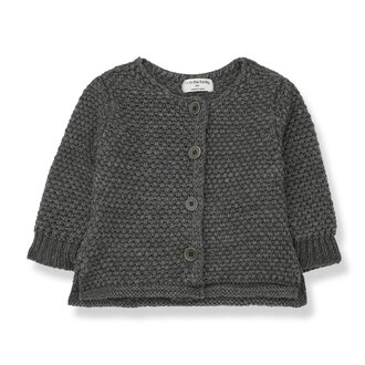 1 + in the family 1 + in the family  LIS-bb jacket grey