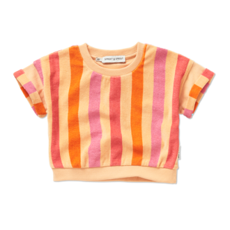 Sproet & Sprout Sproet & Sprout Cropped sweatshirt stripes Nectarine
