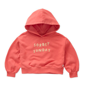 Sproet & Sprout Sproet & Sprout Cropped hooded sweatshirt Rose petal