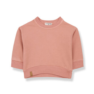 1 + in the family 1 + in the family ESTEBAN sweater coral