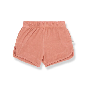 1 + in the family 1 + in the family SARA short coral