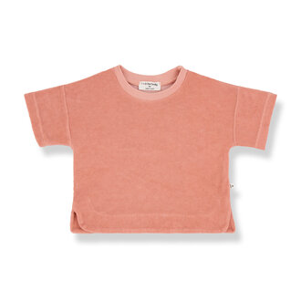 1 + in the family 1 + in the family PIETRO s.sleeve t-shirt coral