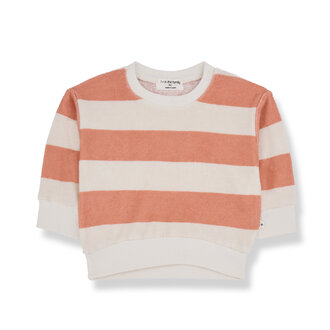 1 + in the family 1 + in the family STEFANO sweater coral 1 + in the family 1 + in the family STEFANO sweater coral