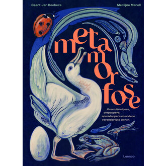 Lannoo Lannoo Metamorfose