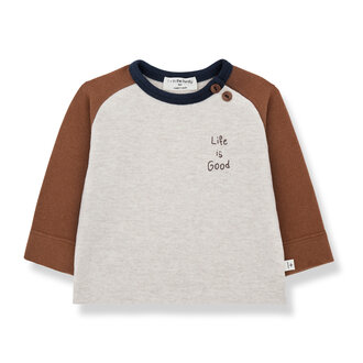 1 + in the family 1 + in the family PAUL ranglan t-shirt castagna 1 + in the family 1 + in the family PAUL ranglan t-shirt castagna