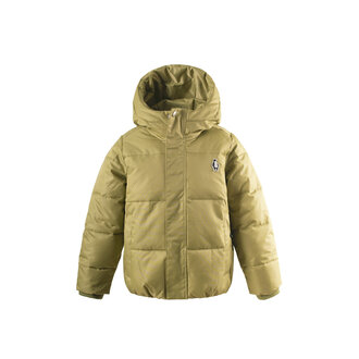 Gosoaky Gosoaky DRAGON EYE gray green