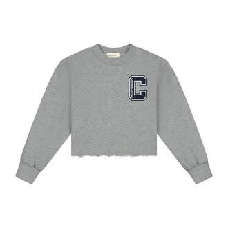 Charlie Petite Charlie Petite Lux Sweater Grey Melange