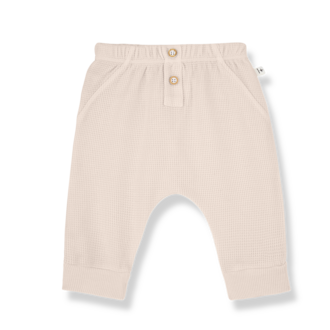 1 + in the family 1+ in the family SUNION pants blossom