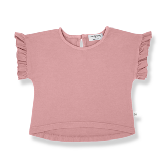 1 + in the family 1+ in the family CAMPANET girly t-shirt strawberry