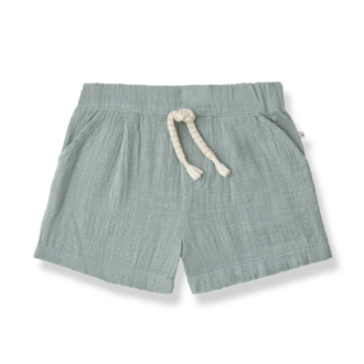 1 + in the family 1+ in the family VERGES bermuda iceberg