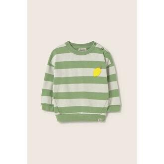 Cozmo Cozmo striped cotton fleece baby sweatshirt green