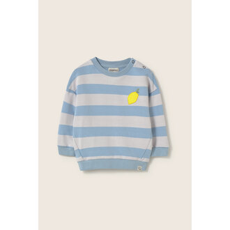 Cozmo Cozmo striped cotton fleece baby sweatshirt blue