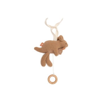 Jollein Jollein Muziekhanger Kangaroots