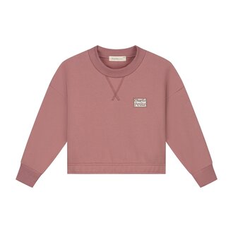 Charlie Petite Charlie Petite Sara Sweater Pink