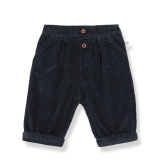 1 + in the family 1+ in the family QUEBEC lined pants blue