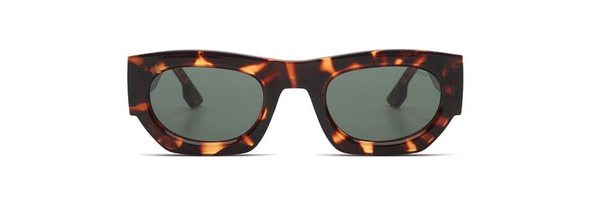 ♣ Alpha Havana Sunglasses