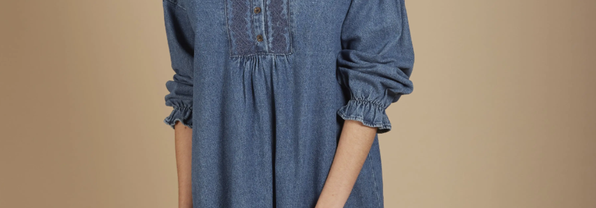 Evanna Embroidered Denim Dress