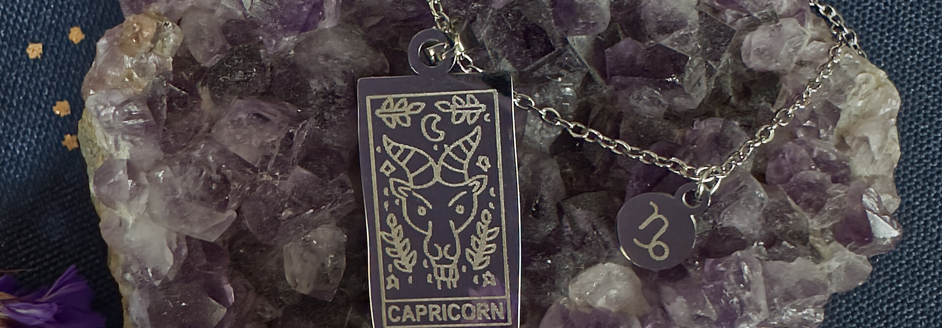 Zodiac Necklace CAPRICORN - Silver