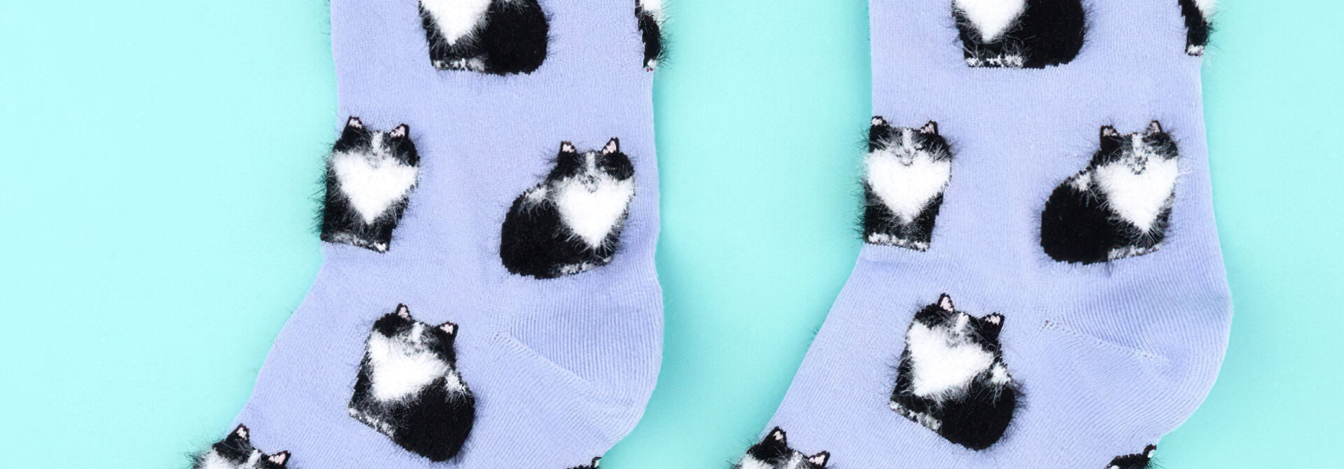 ♣ Black & White Cat Socks