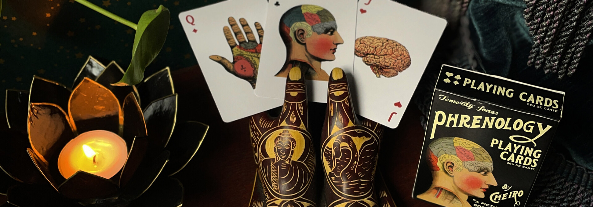 Phrenology Playing Cards