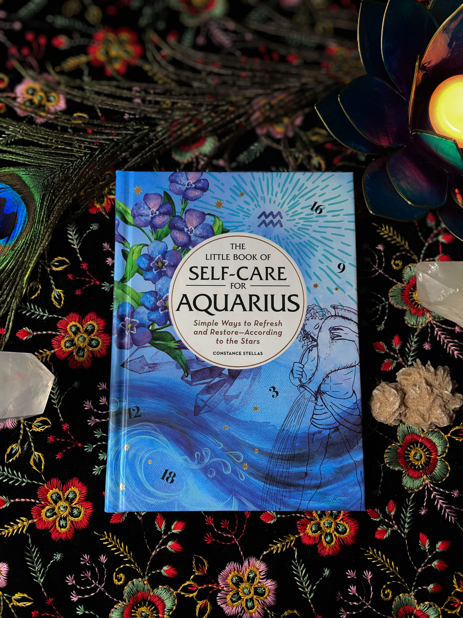 Little Book of Self-Care for Aquarius-1