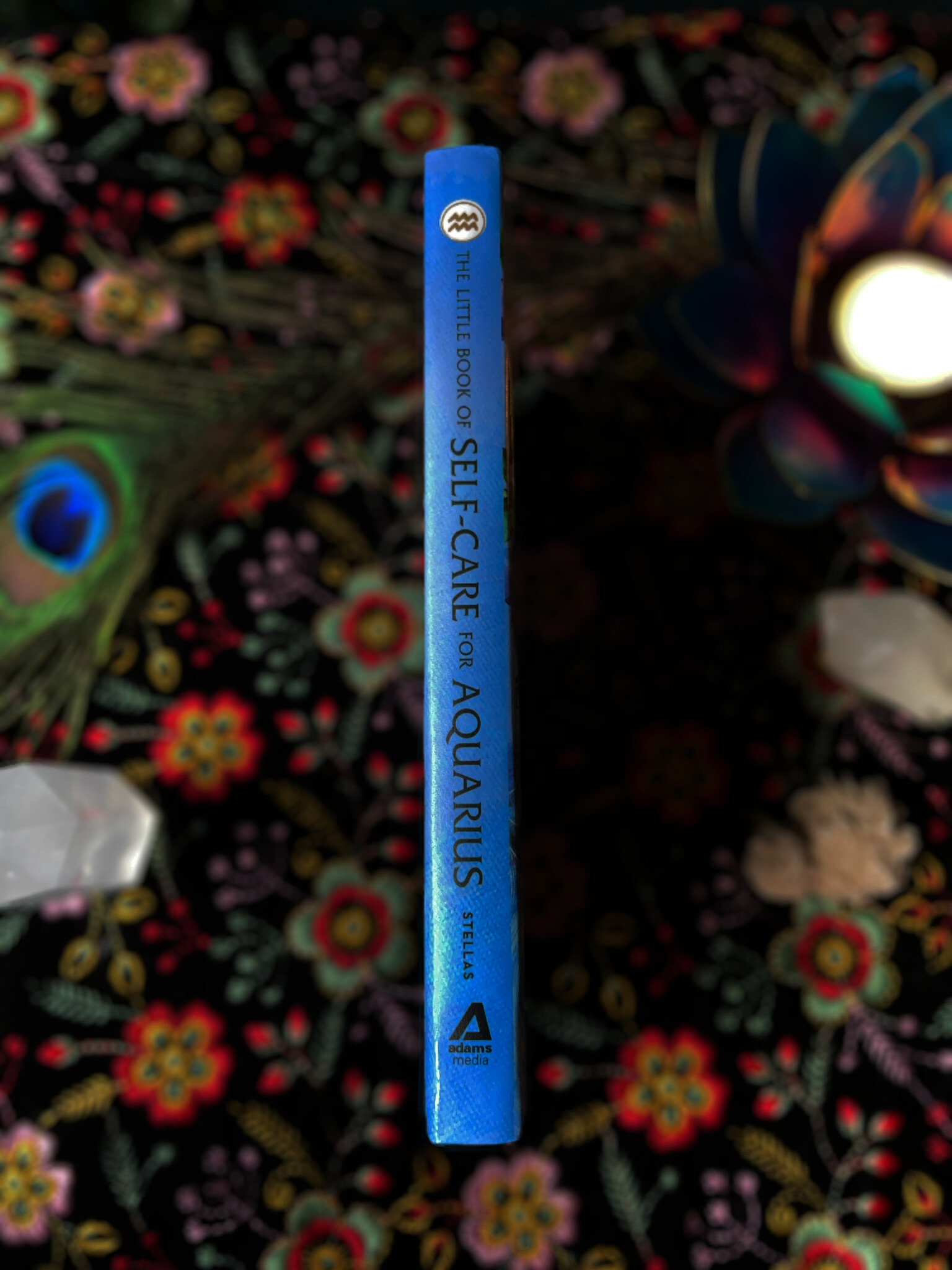 Little Book of Self-Care for Aquarius-2