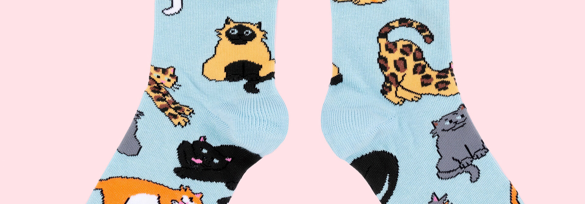♣ Meow Socks