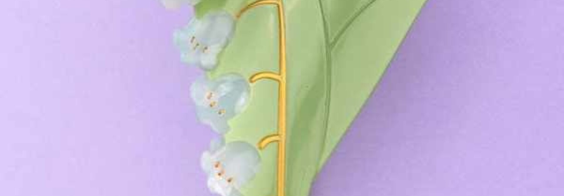 ♣ Lily Of The Valley Hair Claw