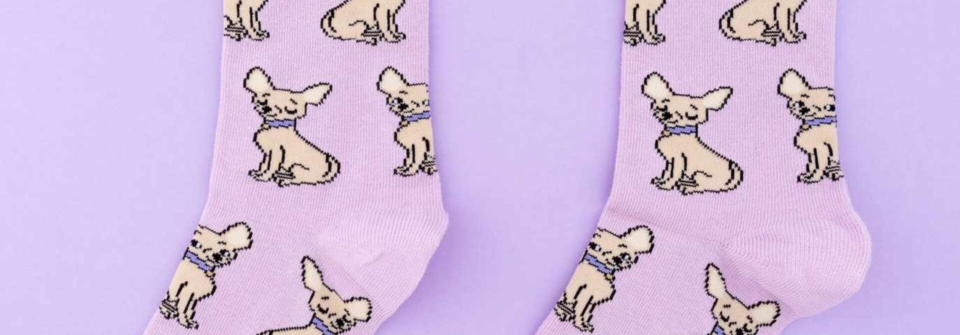 ♣ Chihuahua Socks