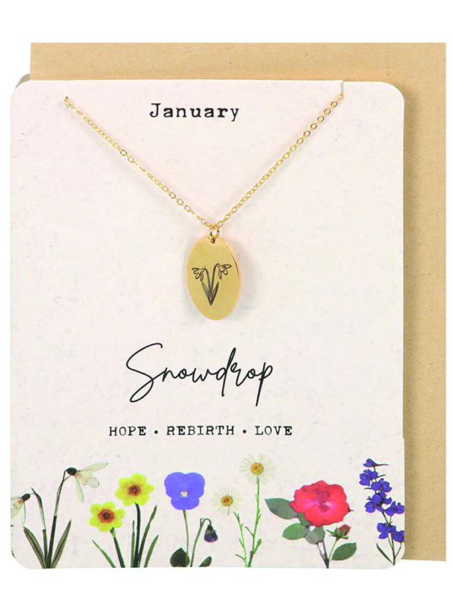 Birth Flower Postcard With Necklace - January