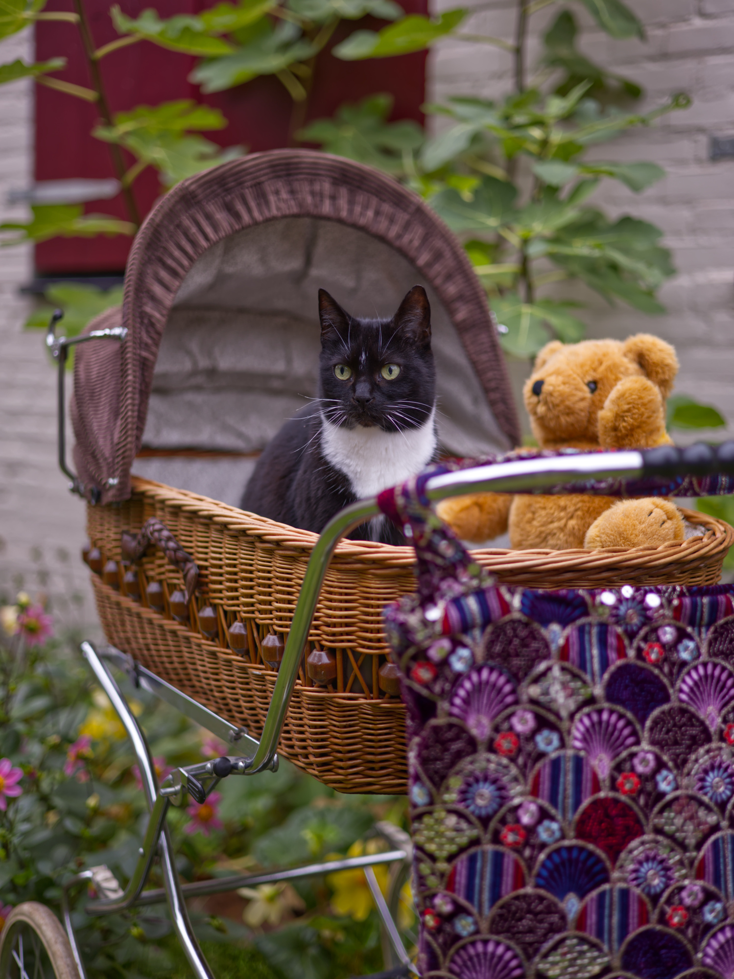 The Oracle Big Bag SIREN-3