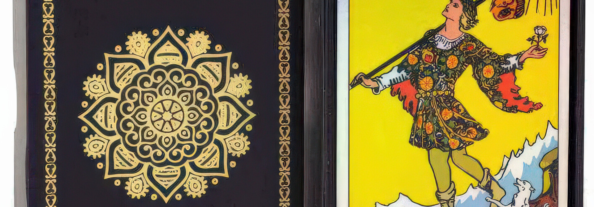 Holographic Tarot & Guideboook