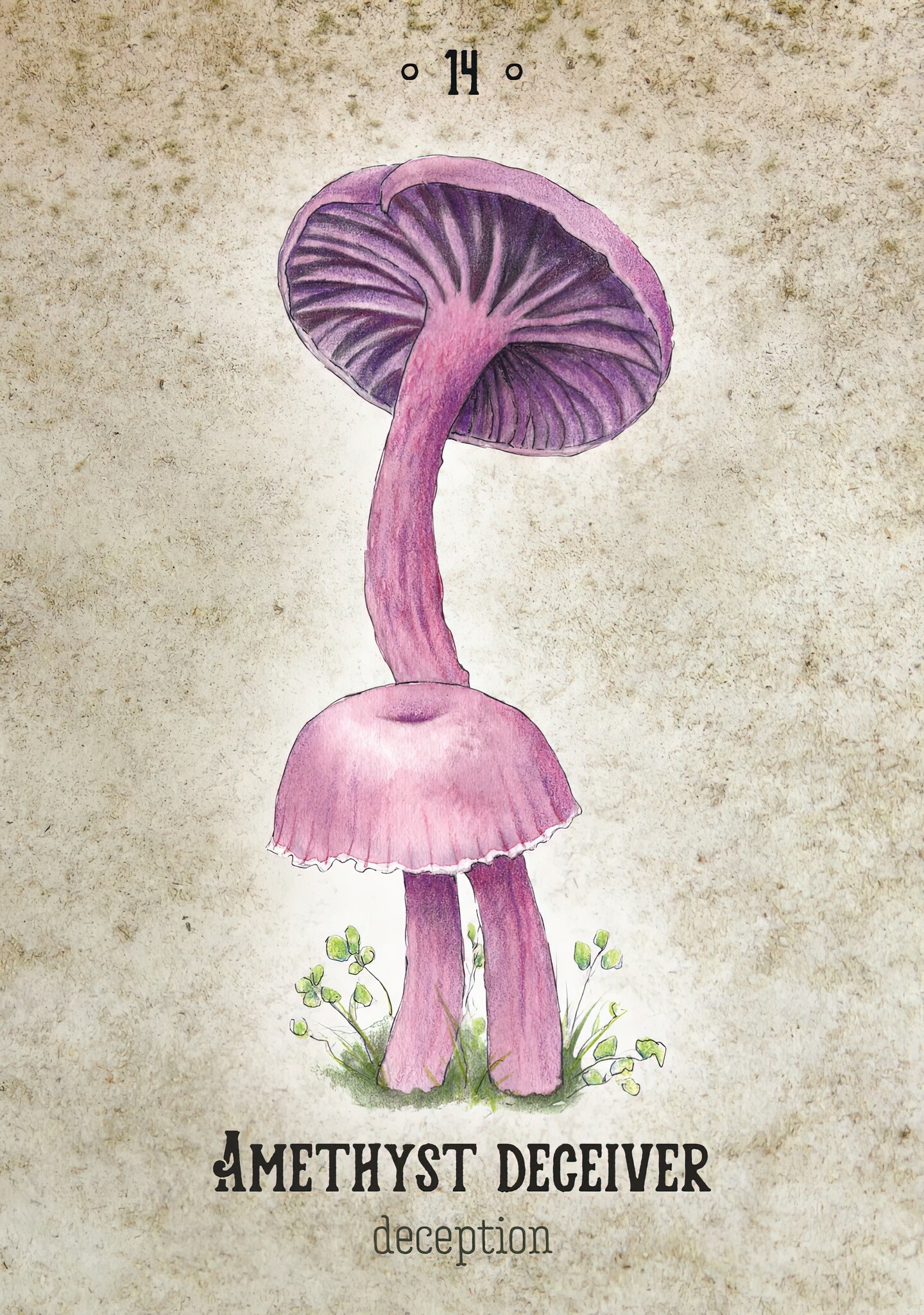 Mushroom Spirit Oracle Deck-3