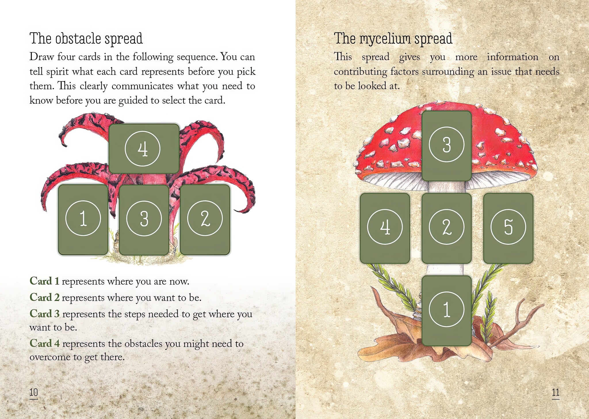 Mushroom Spirit Oracle Deck-5