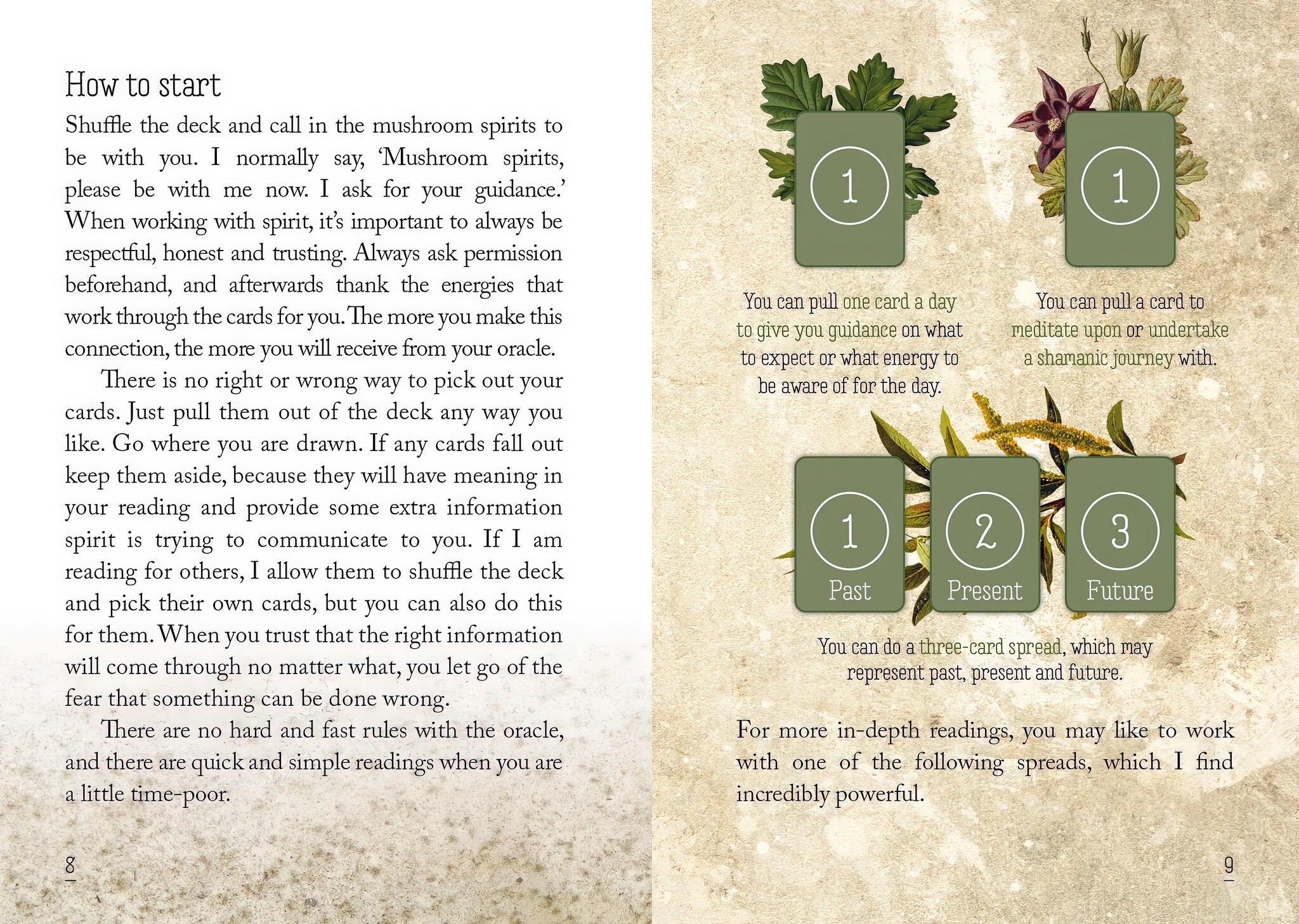 Mushroom Spirit Oracle Deck-6