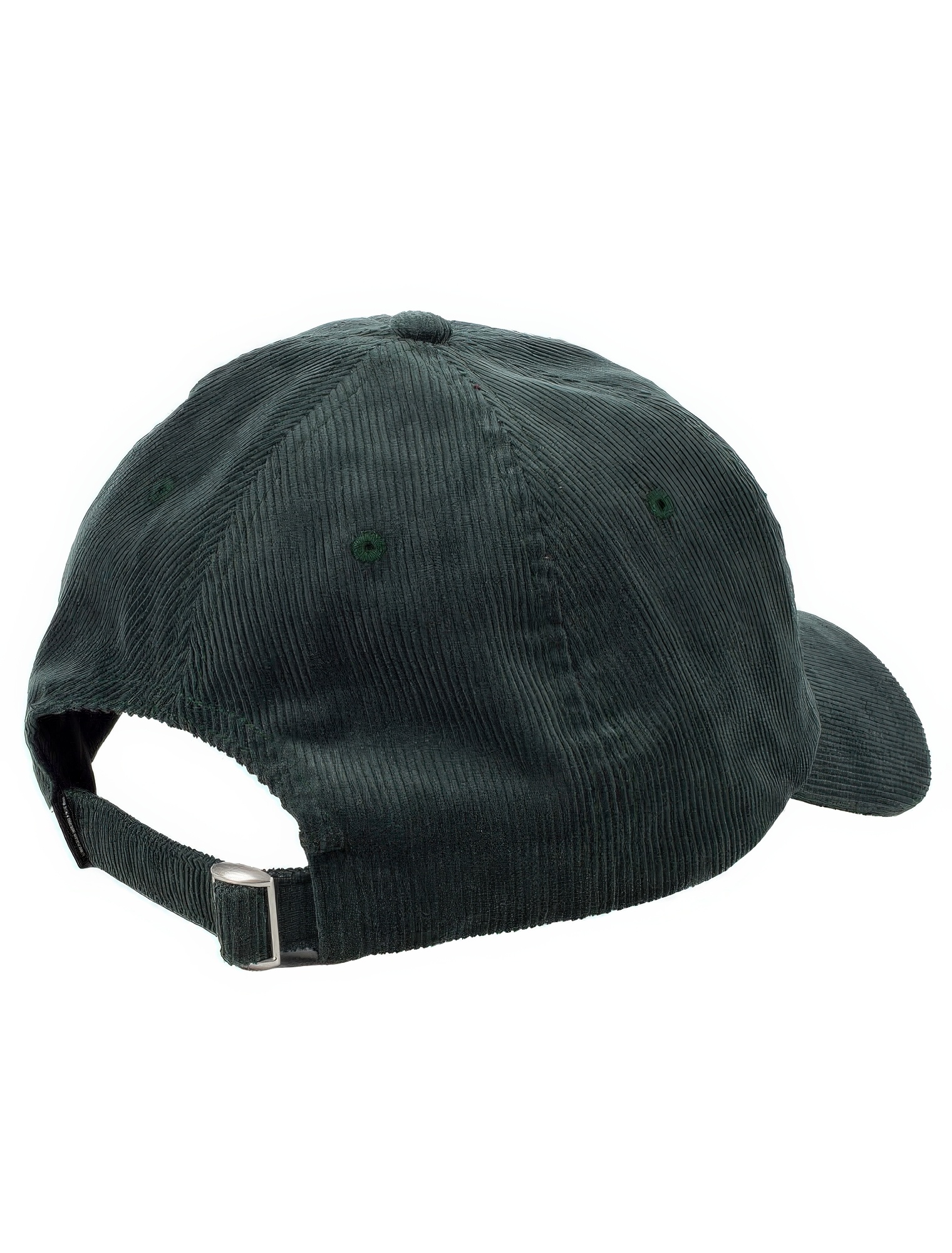 Corvin Never Trust A Honey Badger Dad Cap-2